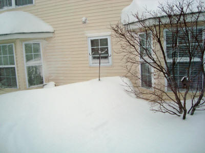 Feb6Snow_b