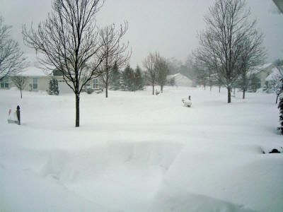 Feb6Snow_d